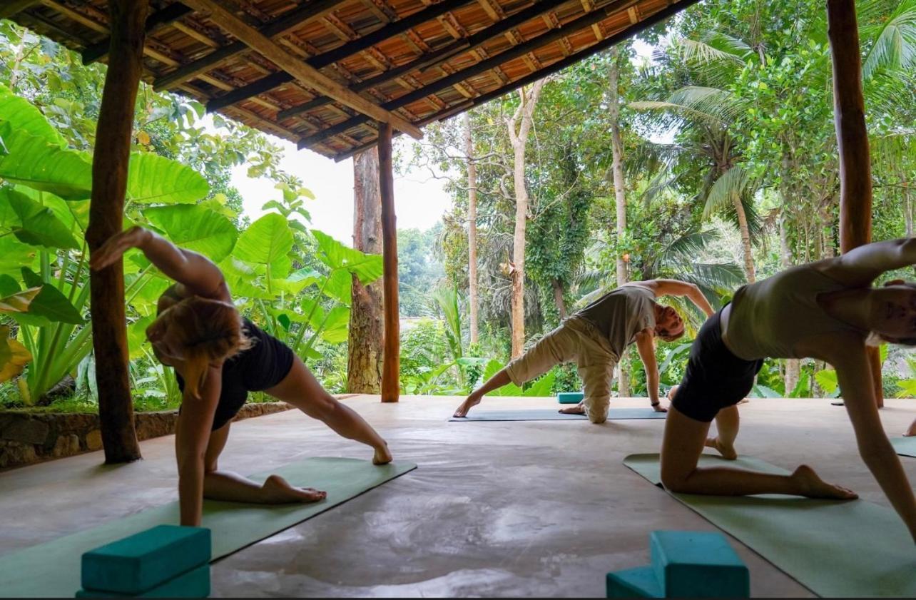 Into The Blue - Yoga Included & Walk To 3 Beaches Тангале Екстериор снимка
